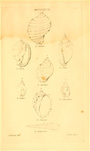 n304_w1150
