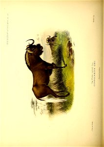 n173_w1150