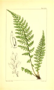 n254_w1150