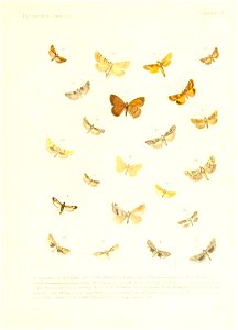 n156_w1150