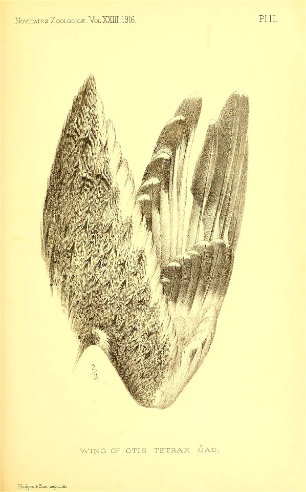 n392_w1150