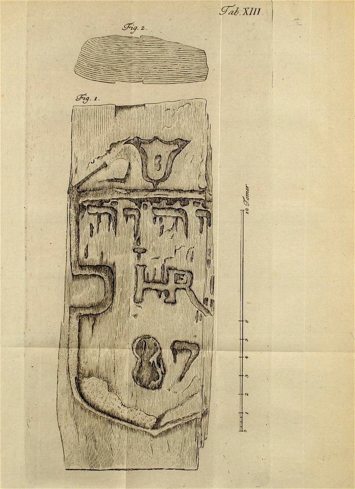 n584_w1150