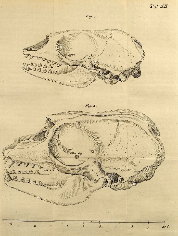 n528_w1150