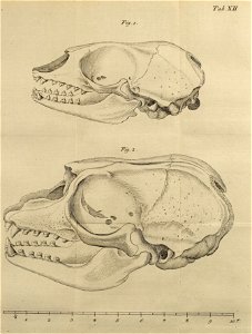 n528_w1150