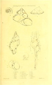 n270_w1150