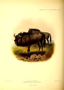 n155_w1150