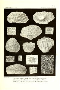 n56_w1150