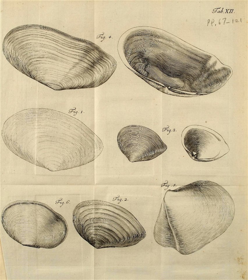n580_w1150