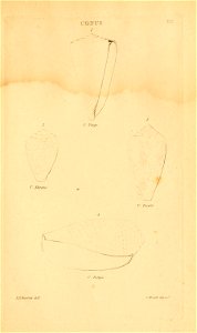 n298_w1150