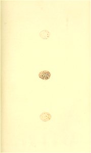 n218_w1150