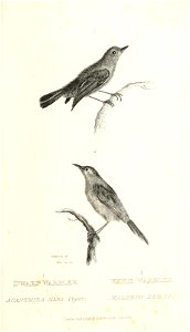 n674_w1150