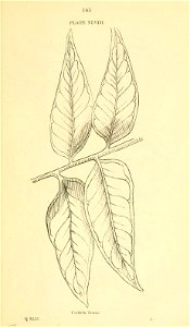 n166_w1150