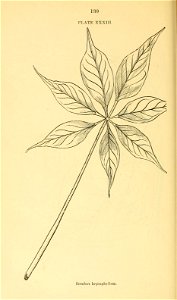 n151_w1150