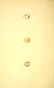 n179_w1150