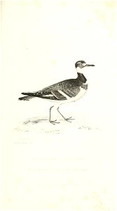n672_w1150