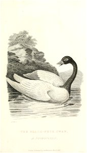 n414_w1150