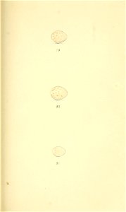 n288_w1150