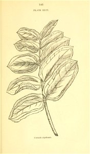n164_w1150