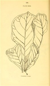 n149_w1150