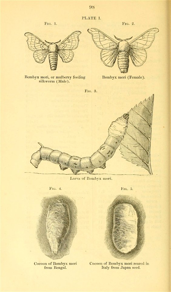 n119_w1150