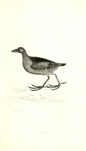 n668_w1150