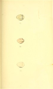 n194_w1150