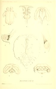 n554_w1150