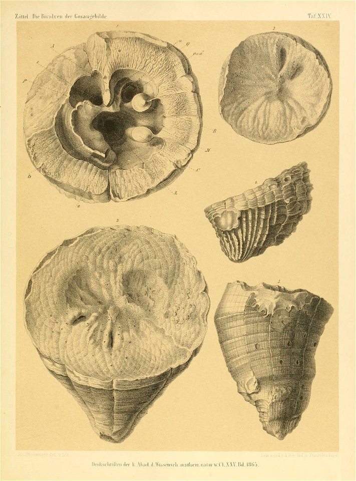 n304_w1150