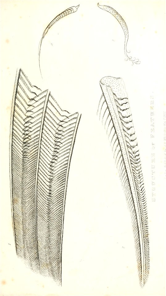 n230_w1150