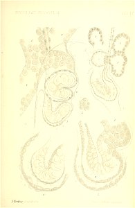 n522_w1150