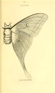 n132_w1150