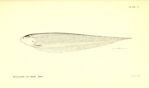 n94_w1150