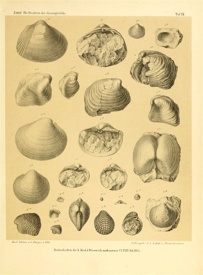 n236_w1150