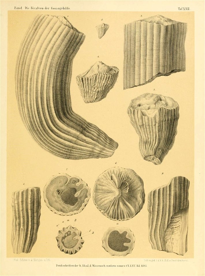 n296_w1150