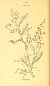 n161_w1150