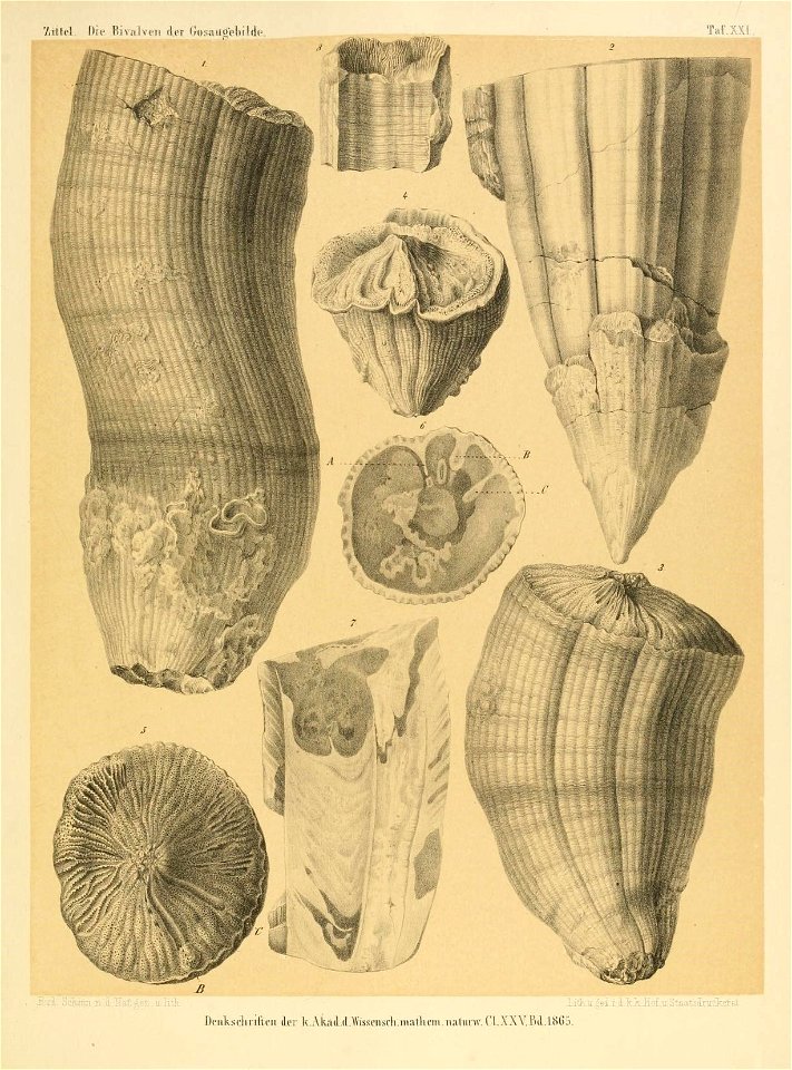 n292_w1150