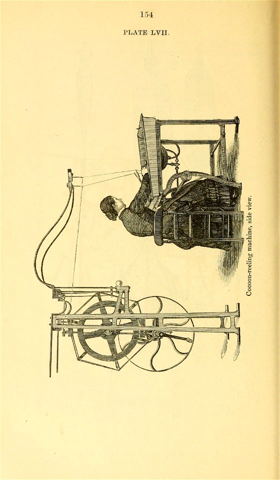 n175_w1150