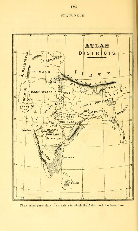 n145_w1150