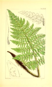 n262_w1150