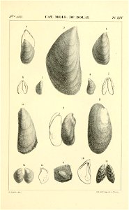 n514_w1150