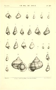 n454_w1150