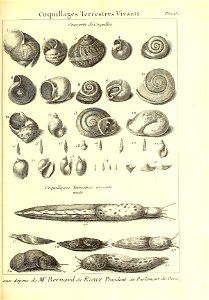 n418_w1150