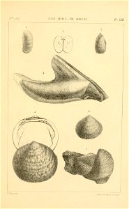 n512_w1150