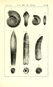 n422_w1150