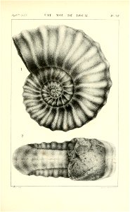 n420_w1150