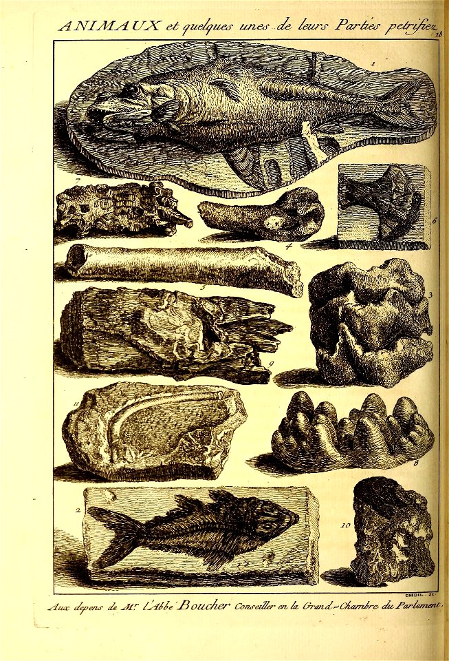 n403_w1150