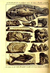 n403_w1150