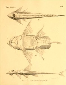 n44_w1150