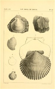 n508_w1150