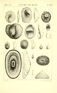 n478_w1150